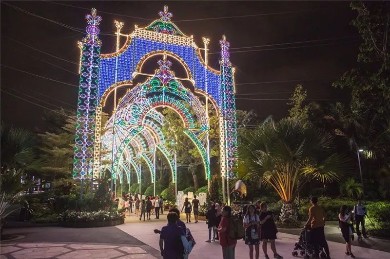 领略异国他乡的灯光风采