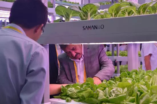 中科三安自主研发全国首套全自动化垂直农业生产系统