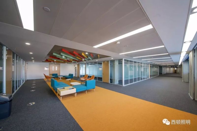 西顿案例 | 西交利物浦大学