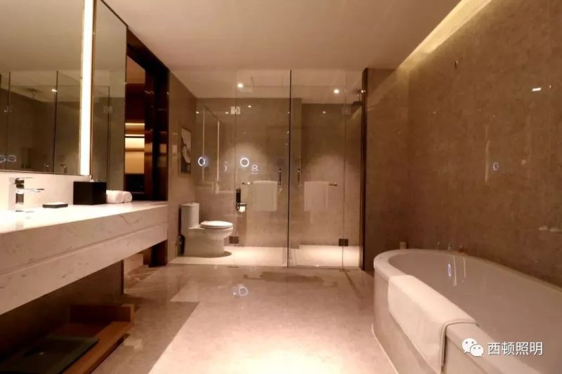 西顿案例 | 上海三甲港绿地铂骊酒店