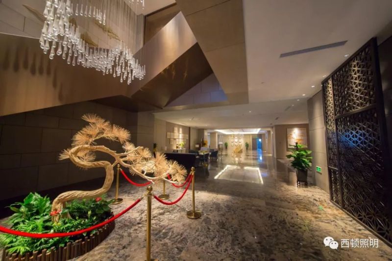 西顿案例 | 高铁金科大酒店