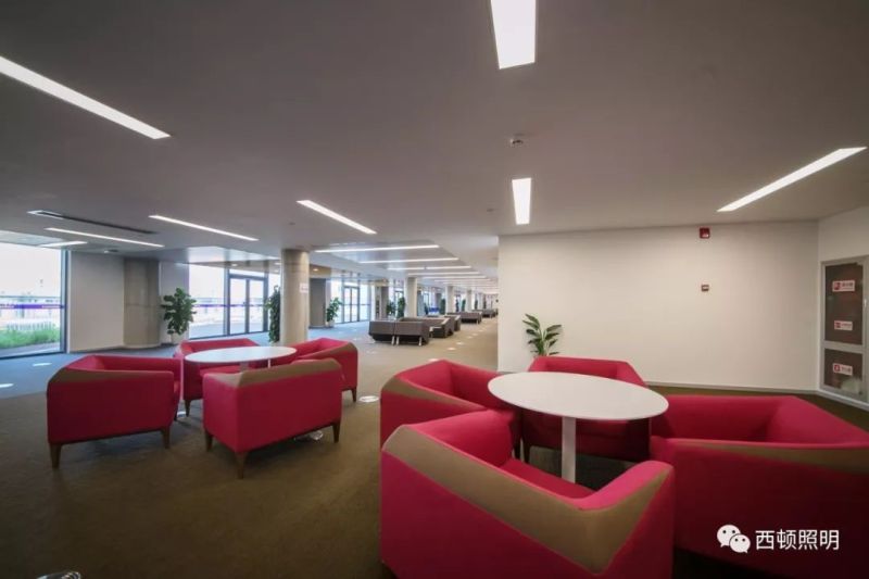 西顿案例 | 西交利物浦大学