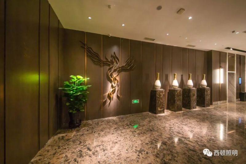 西顿案例 | 高铁金科大酒店