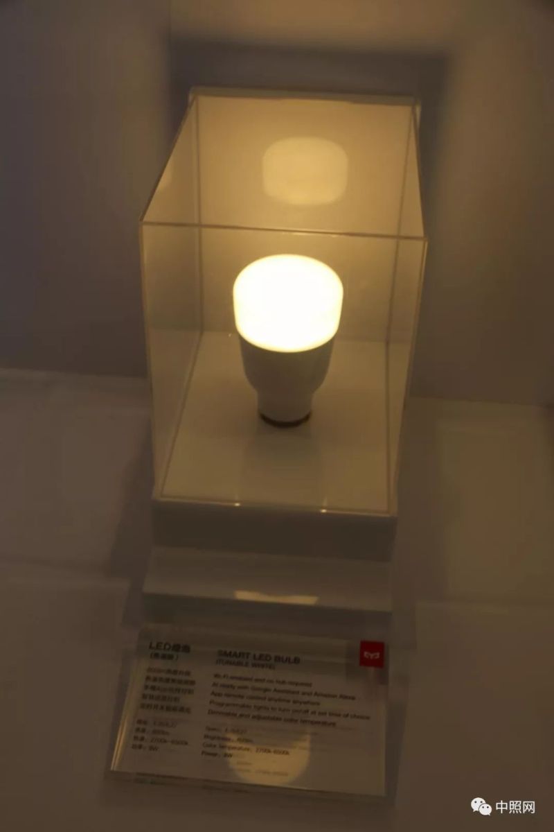 独家现场照片 直击香港两大照明展