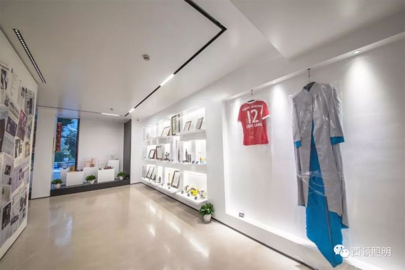 西顿案例 | 郎朗艺术世界