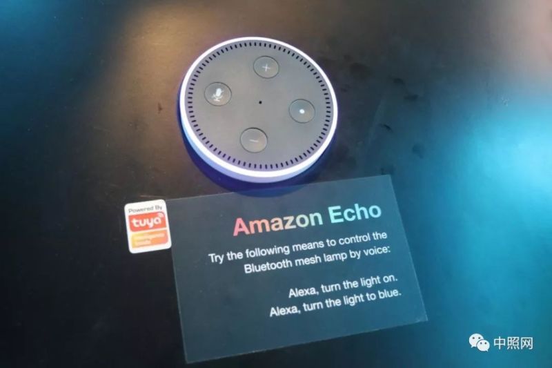 独家现场照片 直击香港两大照明展