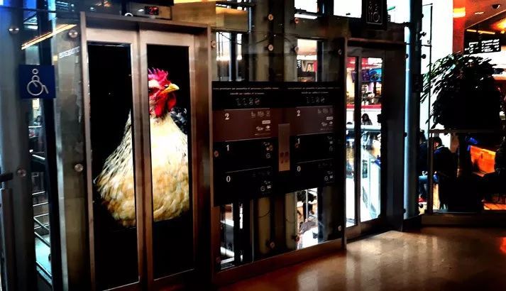 快收下这份2018里昂灯光节观赏攻略 | A·快讯