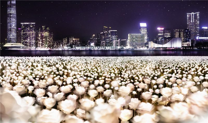 爱与感动-浅析艺术照明创作手法（一）