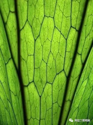 扎哈出品，必属精品！这座改造光和风的建筑被称为史上最聪明的沙漠设计