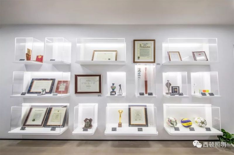 西顿案例 | 郎朗艺术世界