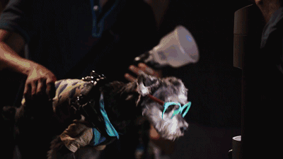 现代黑科技、商业营销新宠儿、网红打卡圣地？一文带你欣赏灯光艺术装置商业案例