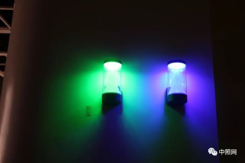 独家现场照片 直击香港两大照明展