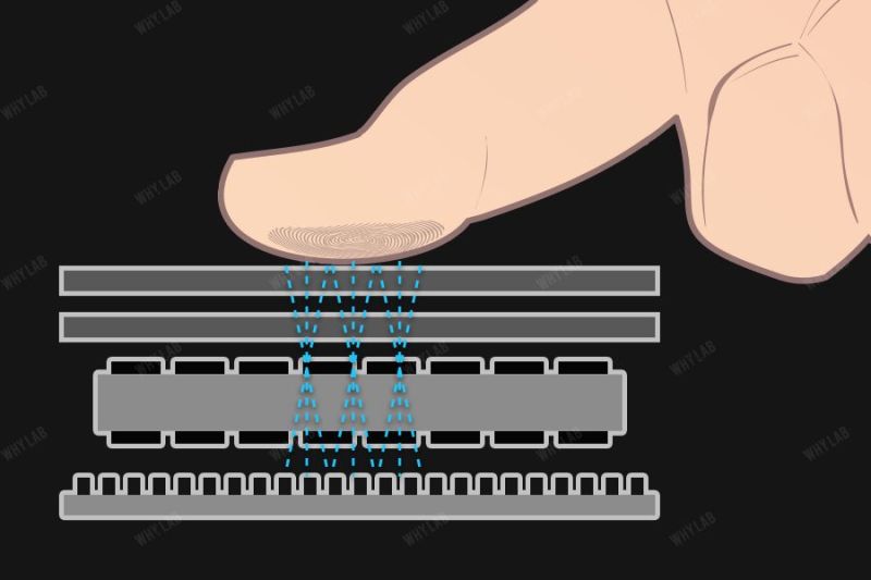 从全屏幕指纹识别看指纹识别发展史