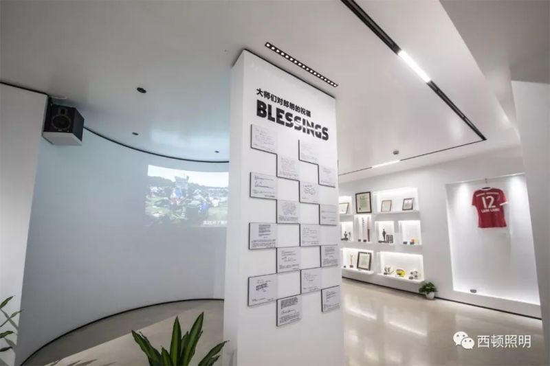 西顿案例 | 郎朗艺术世界