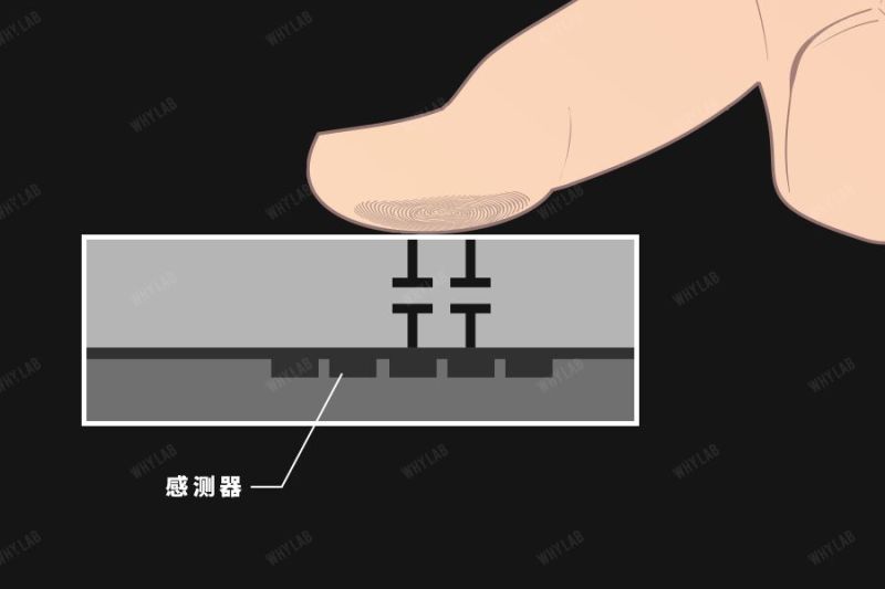 从全屏幕指纹识别看指纹识别发展史