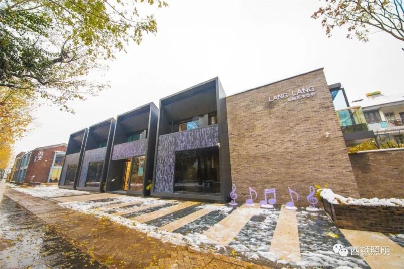 西顿案例 | 郎朗艺术世界