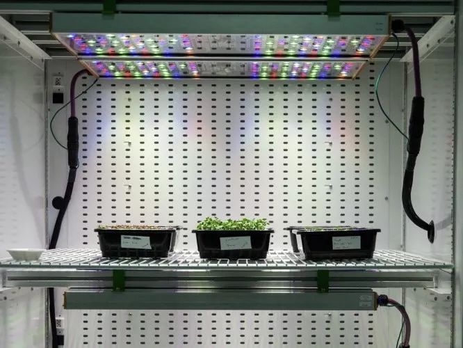 直击2019 CES | 让你大吃一惊的光科技