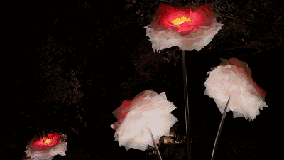 世界级灯光艺术盛事空降上海，多件作品中国首展