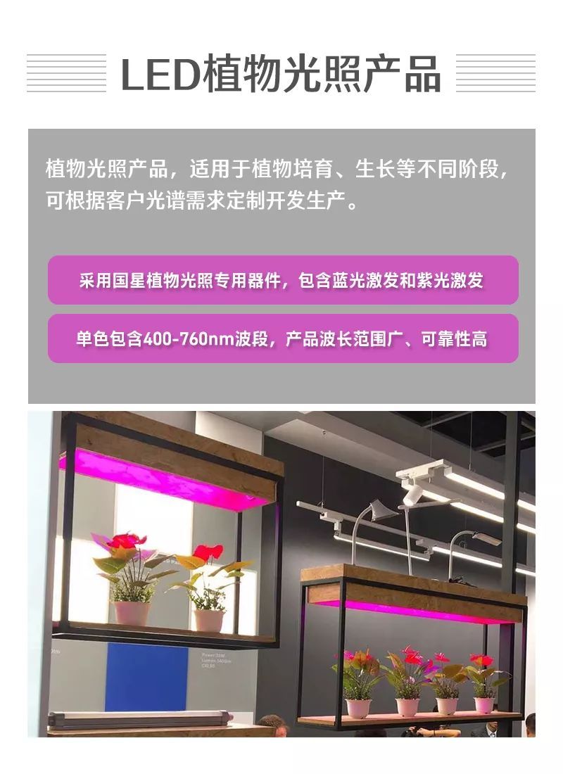 回顾香港秋灯展 | 国星光电细分领域优势明显