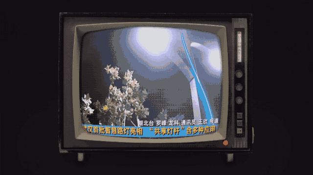 如何做一根懂事的路灯