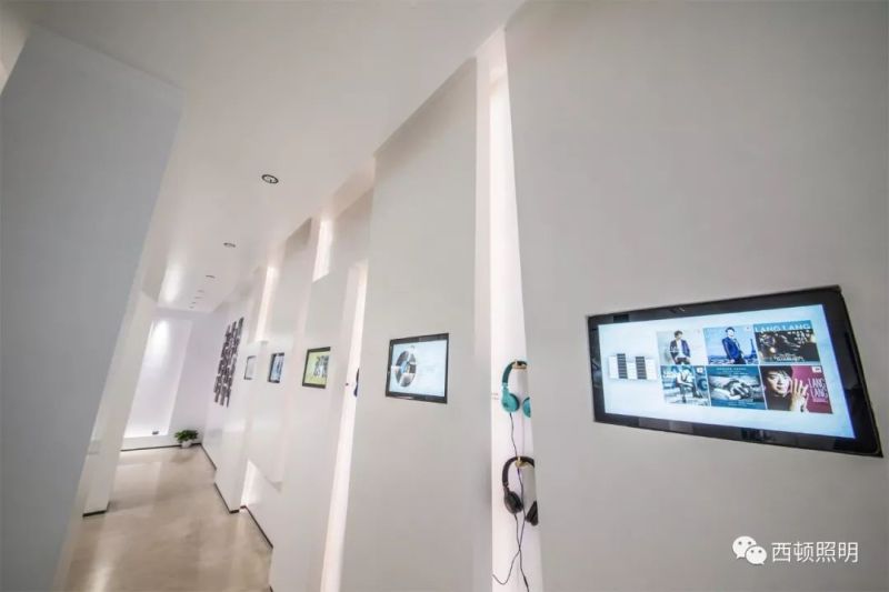 西顿案例 | 郎朗艺术世界