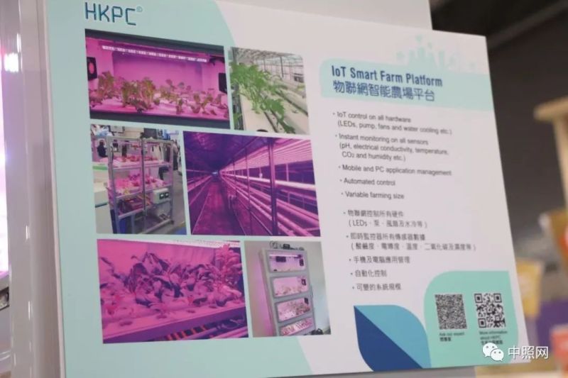 独家现场照片 直击香港两大照明展