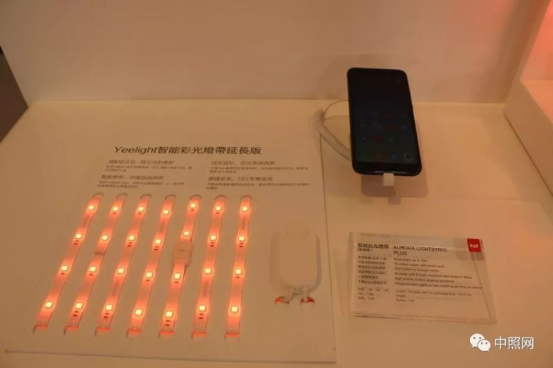 独家现场照片 直击香港两大照明展