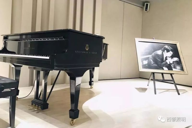 西顿案例 | 郎朗艺术世界