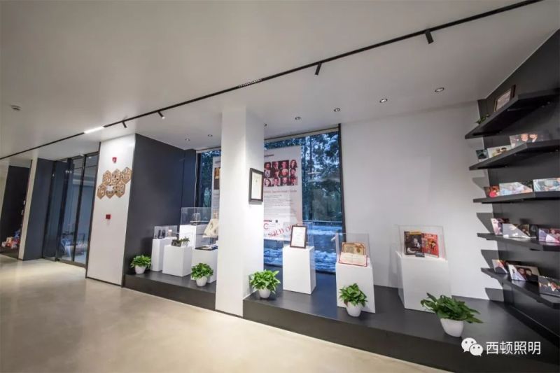 西顿案例 | 郎朗艺术世界