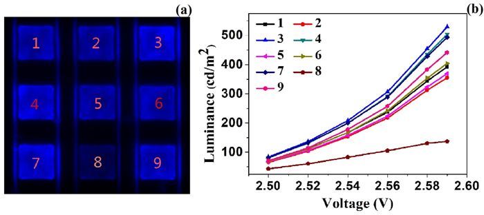 基于显微成像系统的Micro-LED表面亮度检测