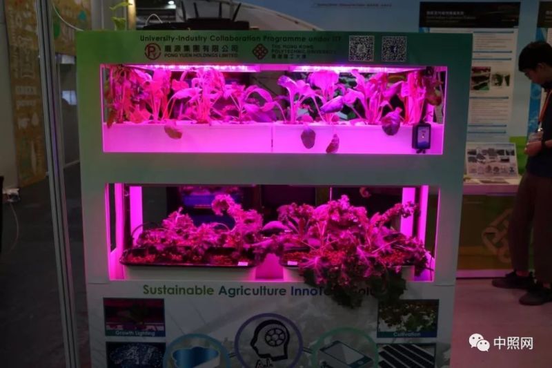 独家现场照片 直击香港两大照明展