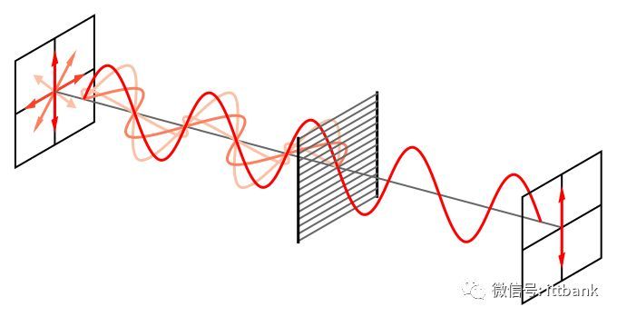 一文看透偏光片产业链