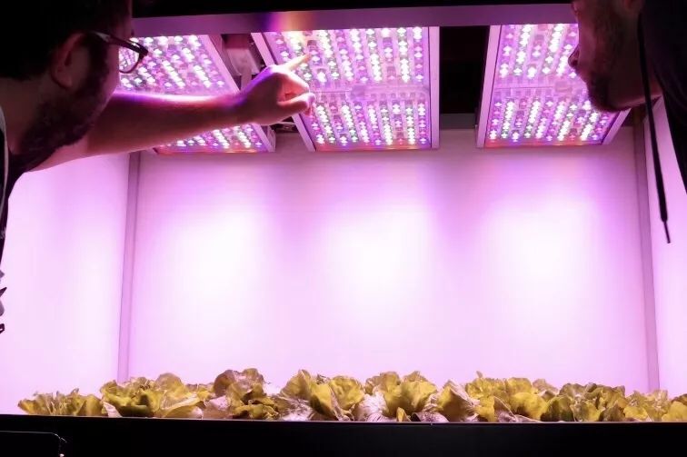 直击2019 CES | 让你大吃一惊的光科技