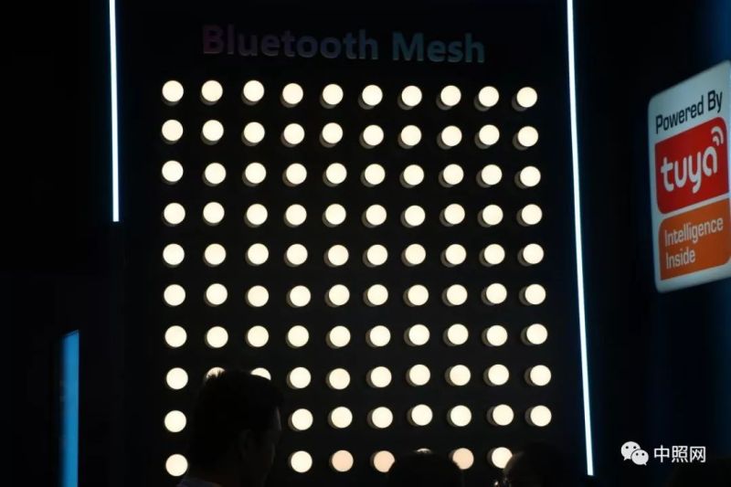 独家现场照片 直击香港两大照明展