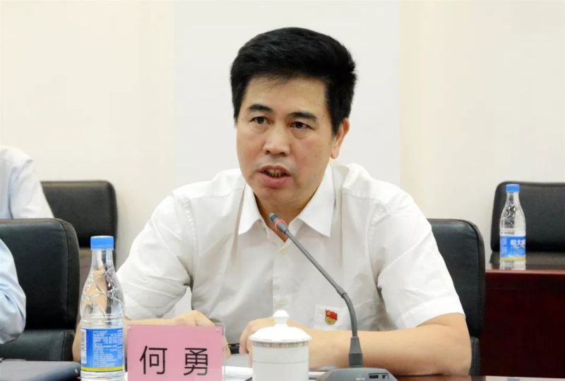 广晟公司党委副书记、总经理陈胜光一行莅临国星光电指导工作