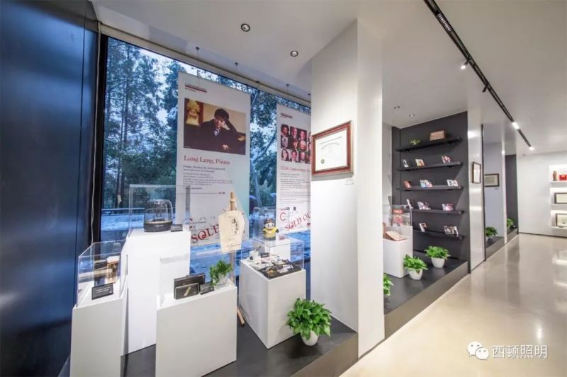 西顿案例 | 郎朗艺术世界