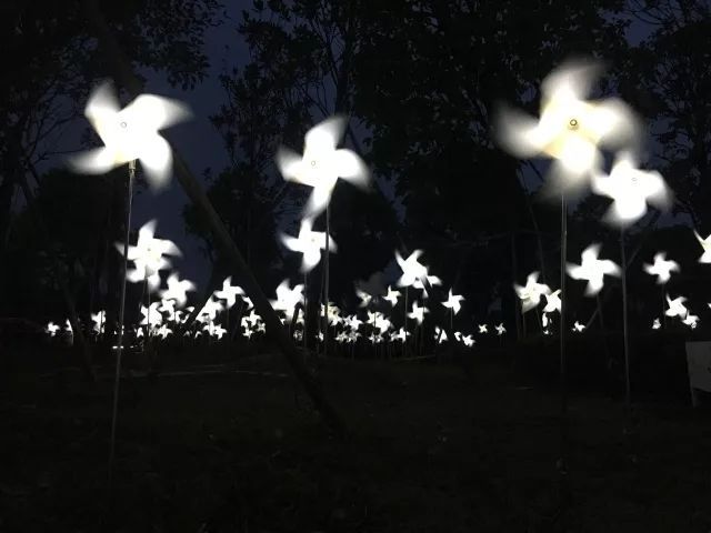 世界级灯光艺术盛事空降上海，多件作品中国首展