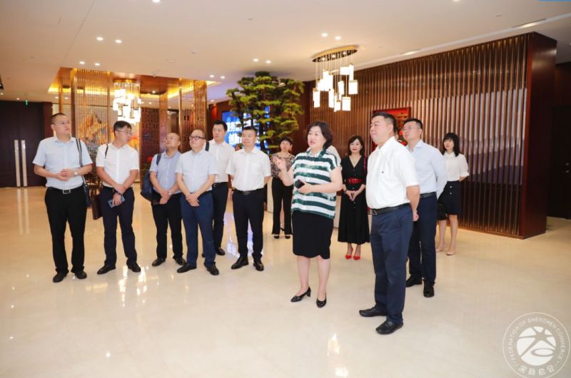 深商VS川商，泸州老窖走进雷曼光电