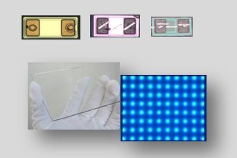 高规格 | 国星光电Mini LED背光斩获行业大奖