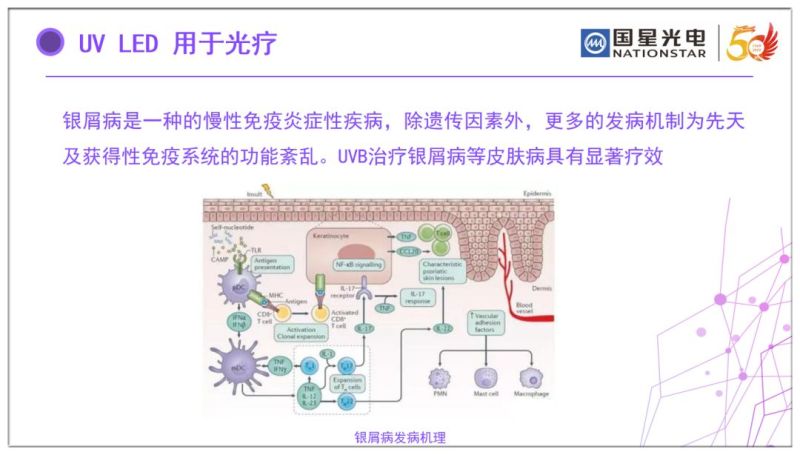 国星光电全面布局UV LED市场！