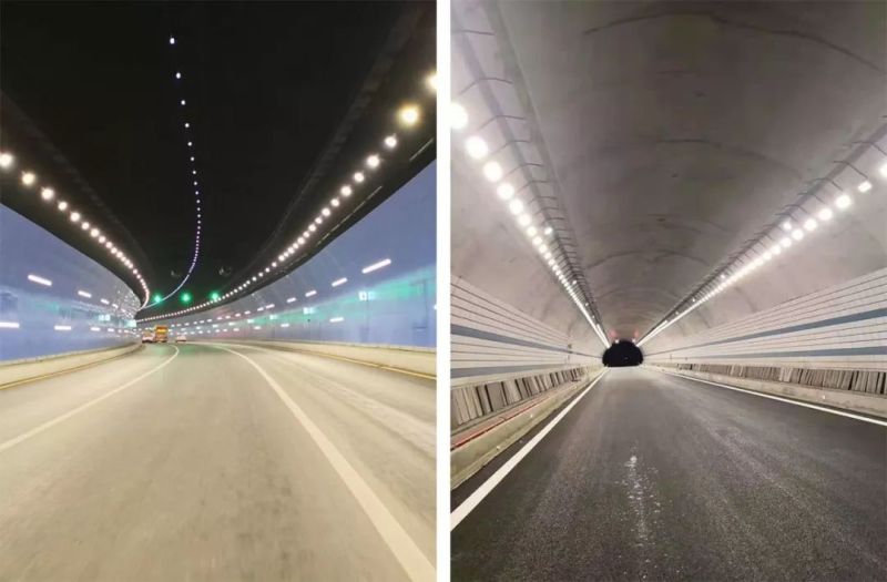 洲明精彩亮相厦门高速公路展，共话智慧交通新篇章