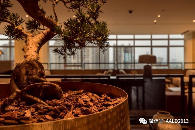 佛山罗佛宫索菲特酒店照明设计赏析丨A·案例