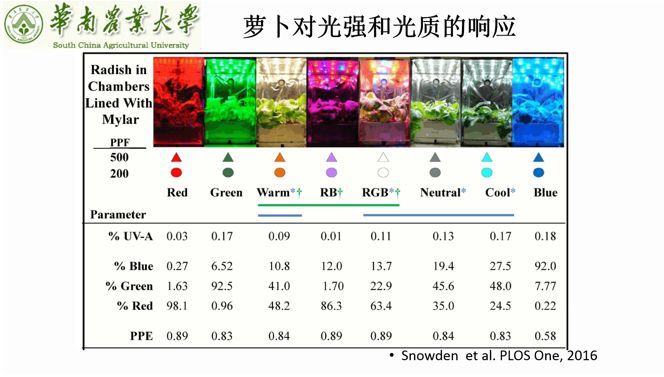 2019首尔半导体LED细分市场技术巡回研讨会—深圳站圆满落幕