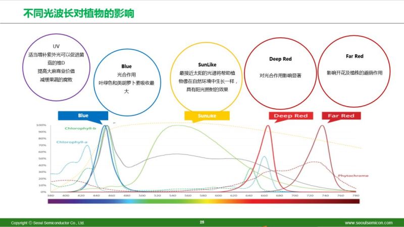 2019首尔半导体LED细分市场技术巡回研讨会—深圳站圆满落幕