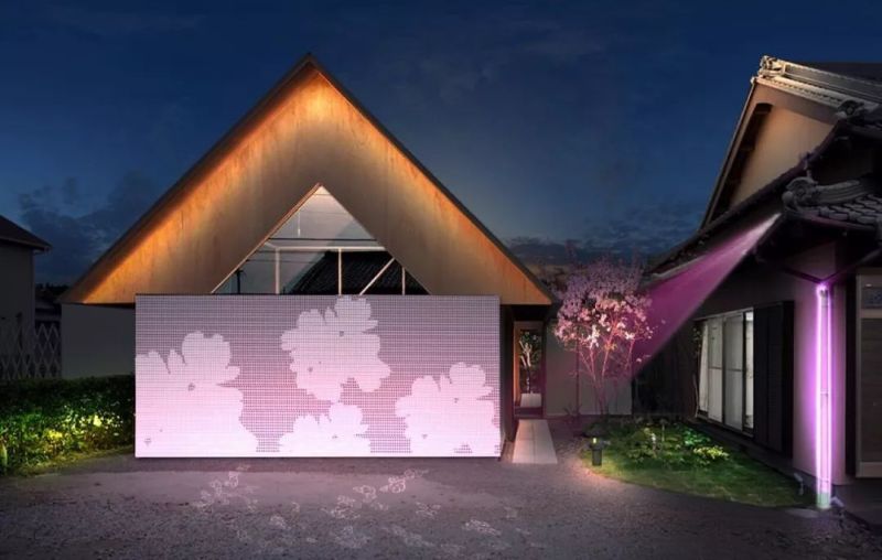 投票 | 雅江杯“网络新势力奖”，你Pick谁？