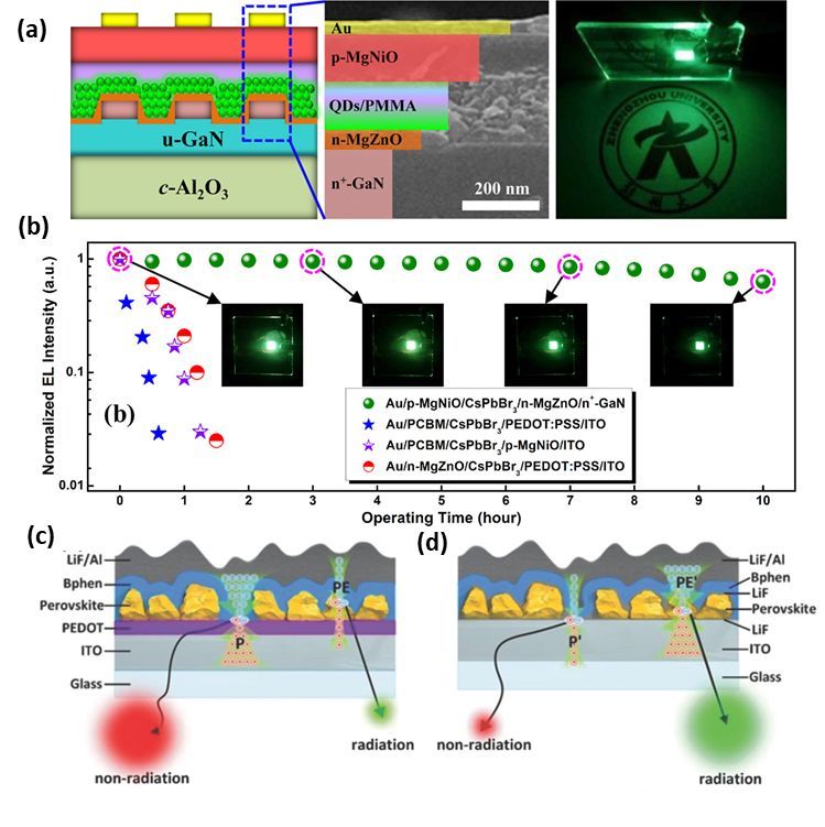 钙钛矿LED最新综述丨干货