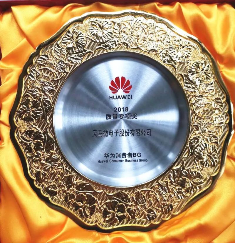 天马：“LCD&TP”类领域“质量优秀奖”唯一获奖者