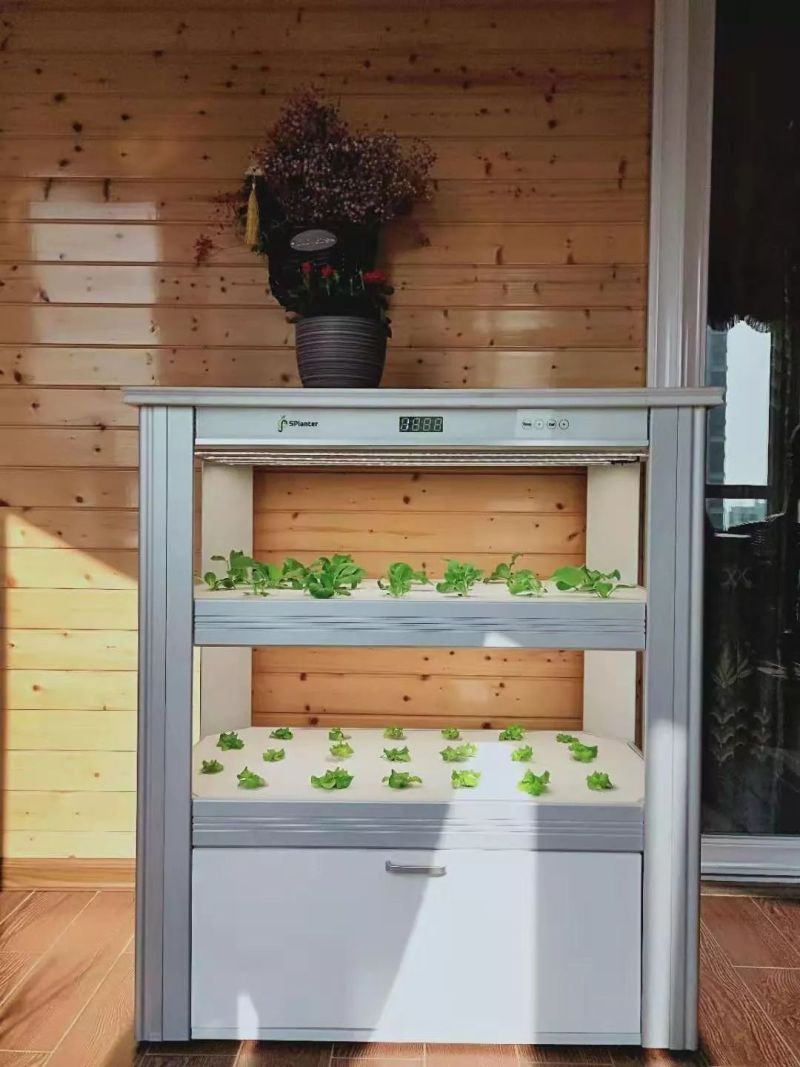 植物工厂摄影作品展示