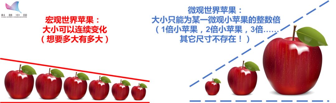 行家说