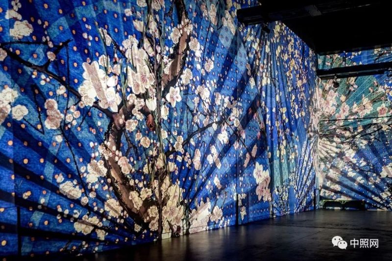 当梵高遇上日本浮世绘，一场惊爆眼球的光影艺术展！